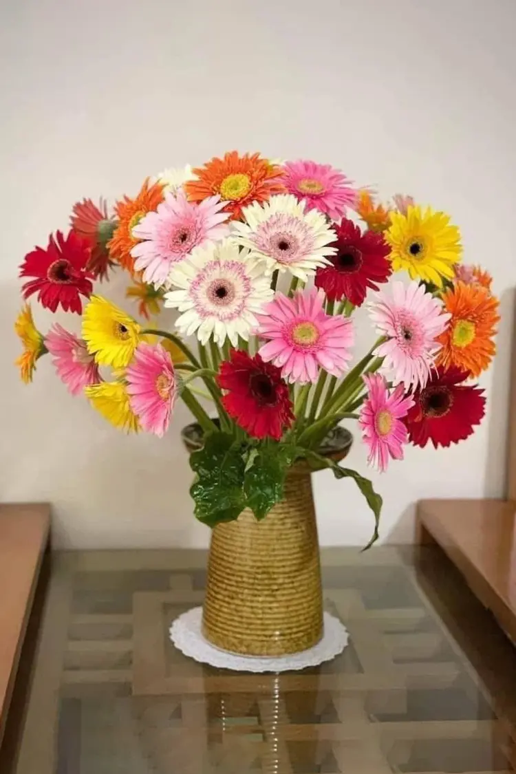 Mẫu bình hoa đồng tiền trưng văn phòng ngày khai trương
