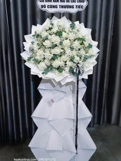 Free ship hoa tang KDC Dương Hồng