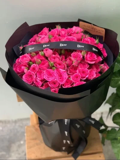 Hoa hồng Sophia ngày 20 tháng 10